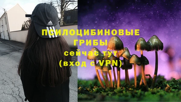 бутират Медногорск
